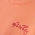 Стан оверсайз свитшот с принтом Stan Ray, мультиколор - фото 3