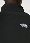 Джемпер The North Face M GLACIER FLEECE 1/4 ZIP JACKET, Black - фото 6