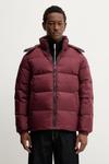 Пуховик Tommy Jeans, бордовый - фото