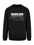 Свитер F4NT4STIC Sweatshirt Harlem, черный - фото