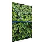 Фреска Artgeist Road Through Forest, зеленый - фото 3