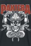 Футболка Pantera CFH Texas Skull, черный - фото 2
