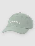 Бейсболка Dickies Wilsall Cap, iceberg green - фото