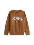 Свитер TOMMY HILFIGER Varsity, коричневый - фото