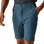 Брюки Regatta Travel Light Zip-Off, синий - фото 6