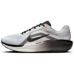 Nike Кроссовки Winflo 11 Se White Metallic Gold Light Smoke Grey Black - фото