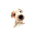 Funko POP! ИГРЫ: Покемон - Чармандер - фото 4