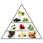 Парфюмированная вода Al Haramain L'Aventure Gold - фото 3