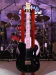 Электрогитара PRS CE NF53 Blackdoghair с чехлом - фото