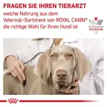 Влажный корм для взрослых ослабленных собак Royal Canin Veterinary Diet, 24 x 195 г - фото 5