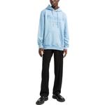 Толстовка с капюшоном и принтом логотипа Alexander McQueen, синий - фото 4