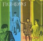 CD диск Fleshtones: Roman Gods - фото