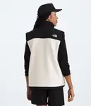 Мужской ретро-жилет Denali The North Face, White Dune/TNF Black - фото 4