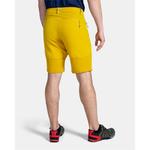 Брюки Kilpi Hosio, желтый - фото 4