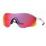 Велосипедные очки Goggles Oakley - фото 3