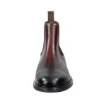 Ботинки челси GANT St Fairkon, Brown/Dark brown - фото 3