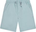 Шорты Levi's Boys' Pull-on Twill, Clearwater - фото