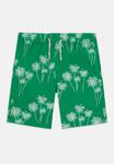 Шорты STRETCH PRINTED Tommy Hilfiger, зеленый - фото 3