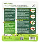 Сафари, жизненный цикл бабочки Safari - фото 3