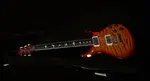 PRS Guitars Wildwood Wood Library S2 McCarty 594 - фото 6