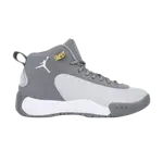 Кроссовки Air Jordan Jordan Jumpman BG, серый - фото
