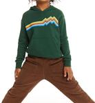 Зеленый полосатый худи для мальчиков Chaser - фото 2