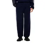 Брюки EA7 EMPORIO ARMANI Train 7.0 Ch Pl Teddy sweat, синий - фото