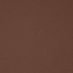 Микро-стринги SKIMS, цвет jasper - фото 4