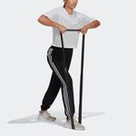 Брюки (WMNS) adidas WTR ICNS WVN PT - фото 2