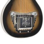 Электрогитара Gold Tone LS-6: Lap Steel Guitar - фото 4