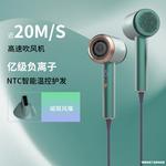 Фен для волос Aorisse, V10-Holly Green [with styling comb] - фото 12