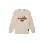 Свитер для школьников Dickies, розовый - фото