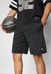 Спортивные шорты Champion ICONS CLASSIC SHORTS, Black - фото 4
