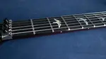Новая модель Paul Reed Smith Custom 24 «Floyd» - фото 9