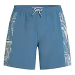 Шорты для плавания O´neill O´Riginals Side Panel 16´´, синий - фото