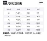 Брюки карго мужские Jeep, цвет Paris Gray (Весна-Осень) - фото 12