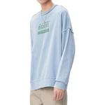 Dickies Мужская толстовка, цвет Blue - фото 2