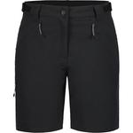 Шорты Бофорт Icepeak, серый - фото