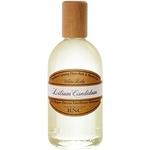 Фито Баньодок Лилия Кандидум, Rance - фото