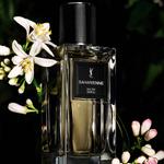 Eau de parfum oriental potpourri neroli цитрусовые SAINT LAURENT - фото 4