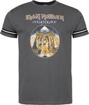Футболка Iron Maiden Powerslave, серый - фото