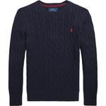 Polo Ralph Lauren Детский синий свитер - фото