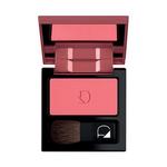 Polvere Compat Guance 22, 5g Diego Dalla Palma - фото