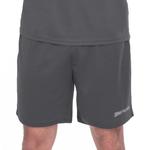 Мужские тренировочные шорты SPORTINATOR Essentials серые - фото