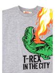 Спортивный костюм Denokids T-Rex Flame, серый - фото 7