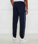 Спортивные штаны мужские Ea7 с лампасами, синий - фото 3