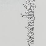 Футболка Supreme Satan Tee, белый - фото 3