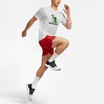 Футболка Nike Men's Dri-FIT Tortoise Running White, белый - фото 3