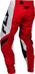 Брюки для мотокросса Fly Racing Lite 2024 FLY Racing, черный/белый/красный - фото 4