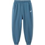 Повседневные брюки GS Asics, синий - фото